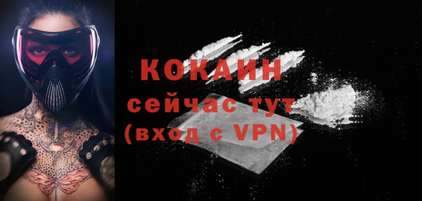 мяу мяу мука Горняк