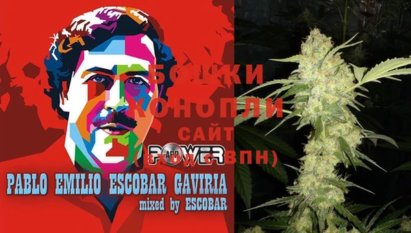 тгк Горнозаводск