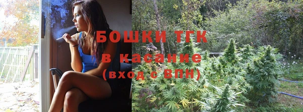 тгк Горнозаводск