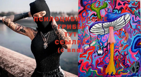 тгк Горнозаводск